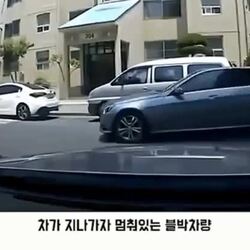 블박) 생사람 잡기 레전드