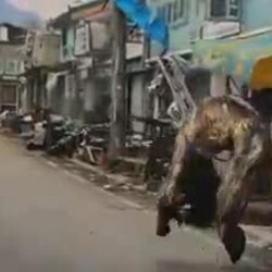 영화 '호프' 가장 최악이였던 CG