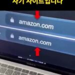 이젠 주소를 봐도 구분 못하는 피싱사이트