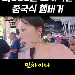 알다가도 모르겠는 맛의 중국식 햄버거 러우자모