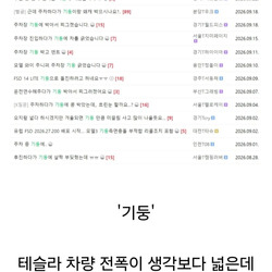 테슬라 오너들이 경기 일으키는 단어.jpg