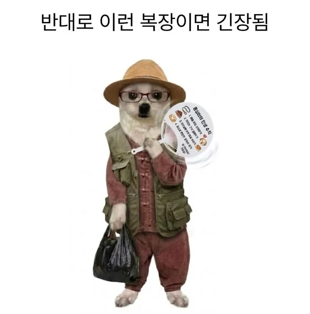 할아버지 복장 차이 특
